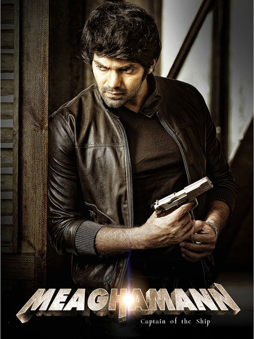 Movie poster for Meaghamann (2014)