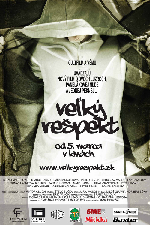 Movie poster for Big Respect (2008)