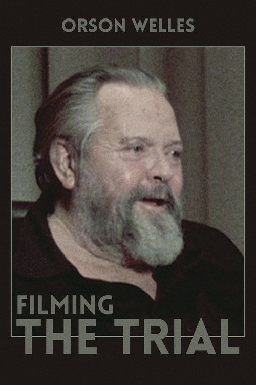 Movie poster for Filming 'The Trial' (1981)