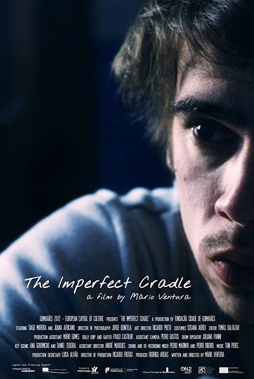 Movie poster for The Imperfect Cradle (2013)