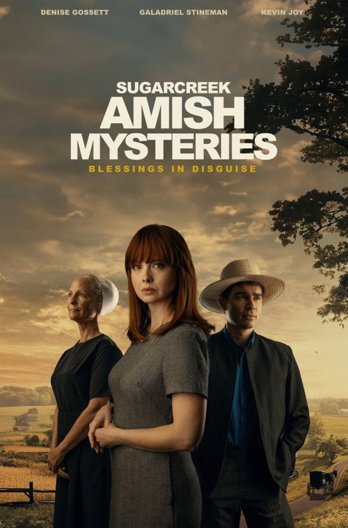 Movie poster for Sugarcreek Amish Mysteries: Blessings in Disguise (2025)