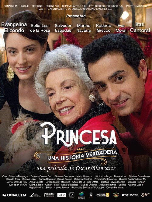 Movie poster for Princess, A True Story (2018)