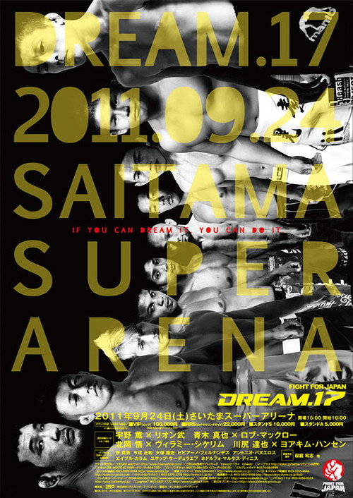 Movie poster for DREAM 17 (2011)