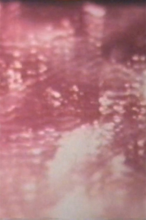 Movie poster for Desert in Sunlight (1969)