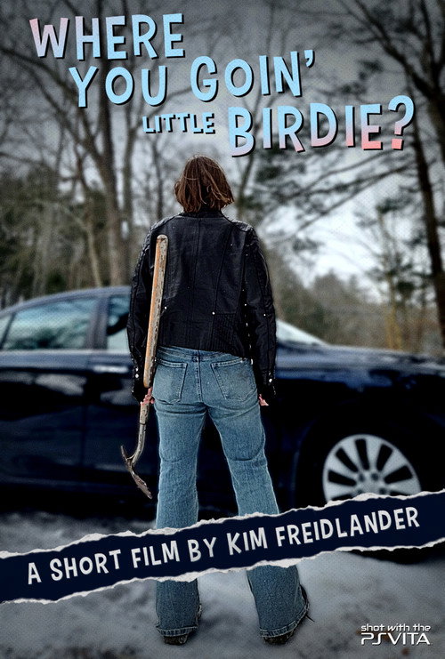 Movie poster for Where You Goin' Little Birdie? (2026)