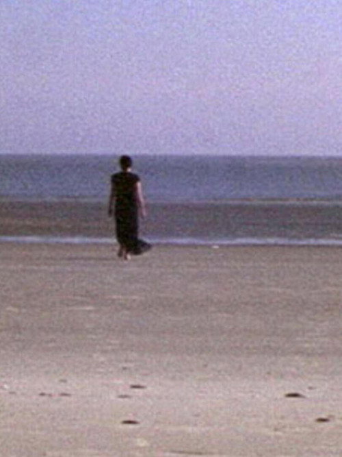 Movie poster for Post-Partum (2004)