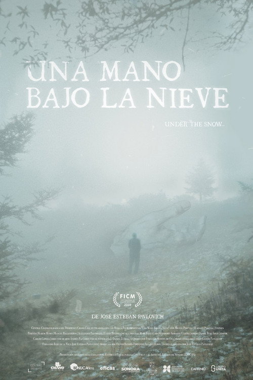 Movie poster for A Hand Beneath the Snow (2022)