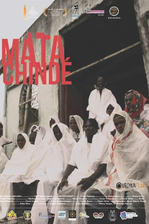 Movie poster for Matachindé (2014)