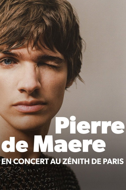 Movie poster for Pierre de Maere en concert au Zénith de Paris (2024)
