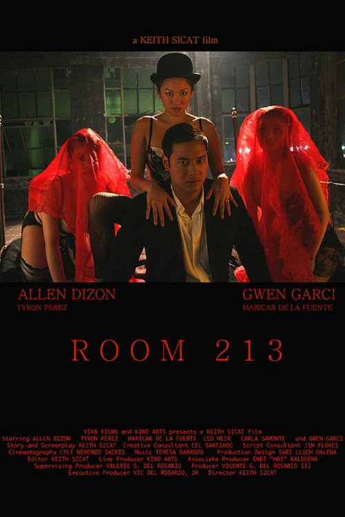Movie poster for Room 213 (2008)