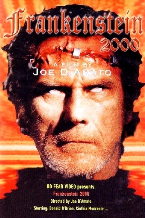 Movie poster for Return from Death: Frankenstein 2000 (1991)