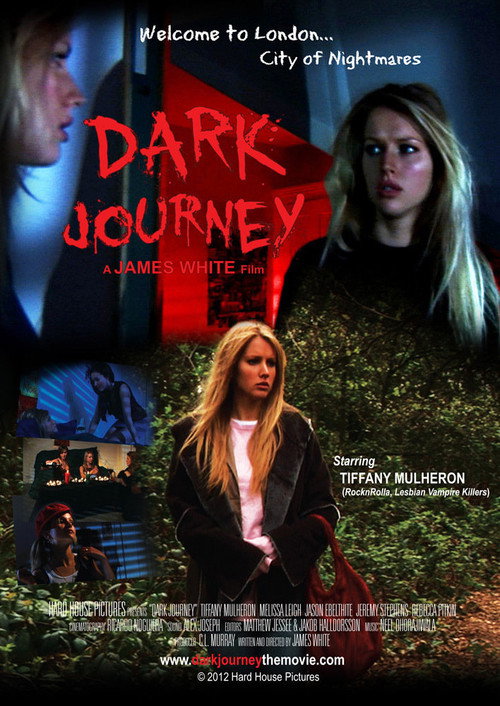 Movie poster for Dark Journey (2012)
