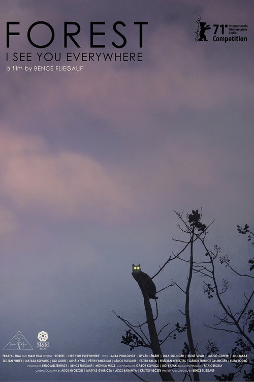 Movie poster for Forest: I See You Everywhere (2022)