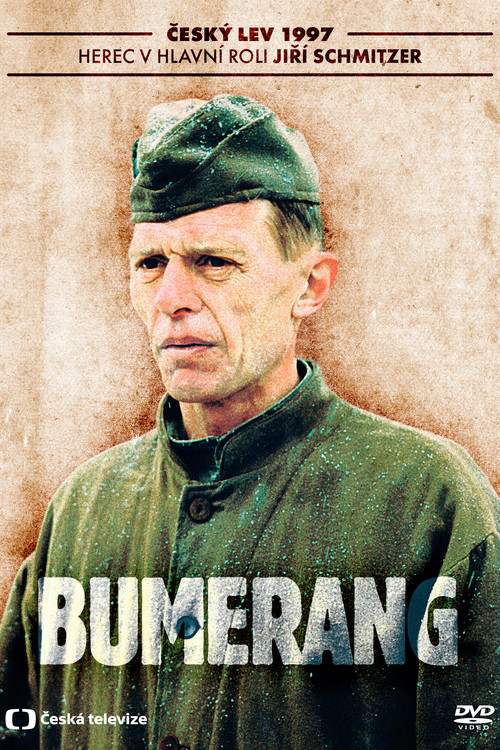 Movie poster for Boomerang (1997)