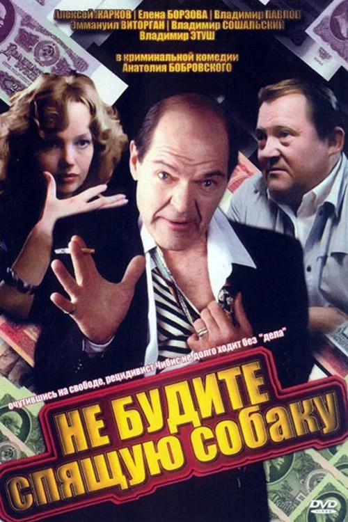Movie poster for Don't Wake a Sleeping Dog (1991)