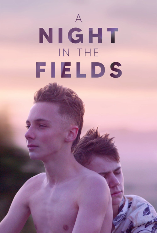 Movie poster for A Night in the Fields (2020)