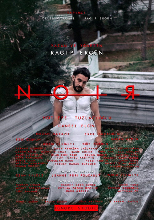 Movie poster for Noir (2025)