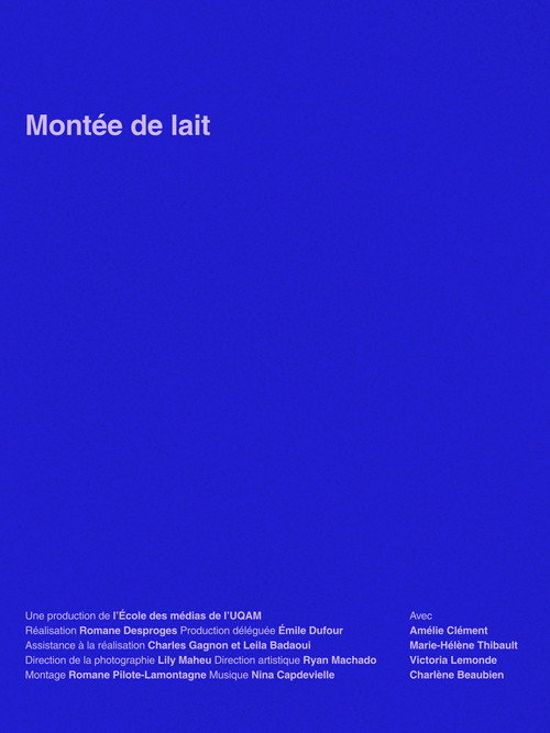 Movie poster for Smother Mother