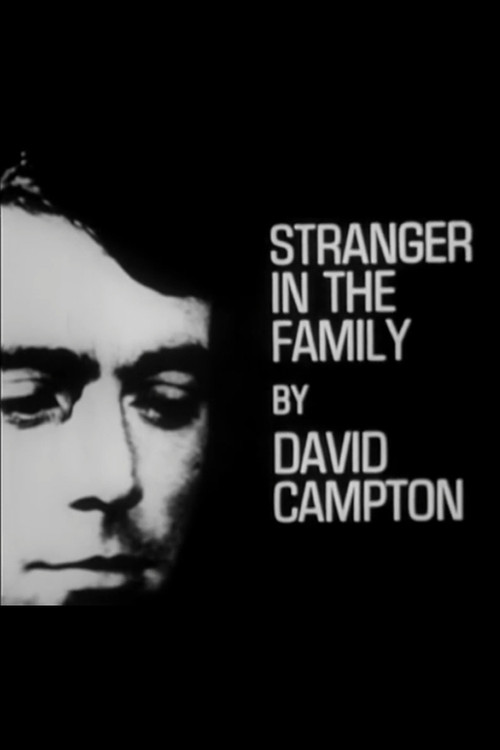 Movie poster for Stranger in the Family (1965)