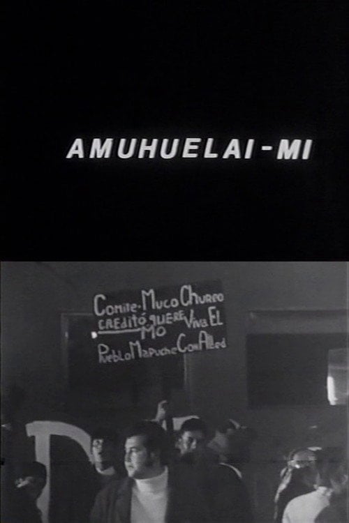 Movie poster for Amuhuelai-mi (1971)