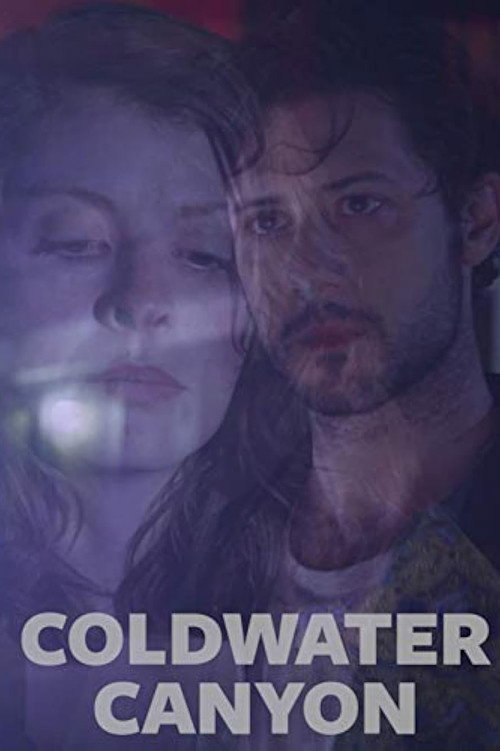 Movie poster for Coldwater Canyon (2016)