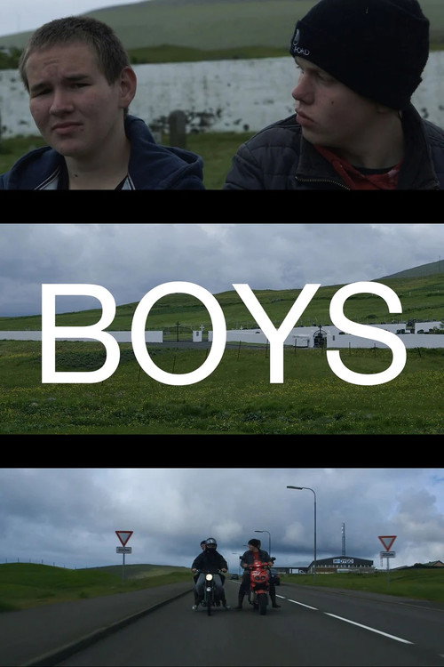 Movie poster for Boys (2016)