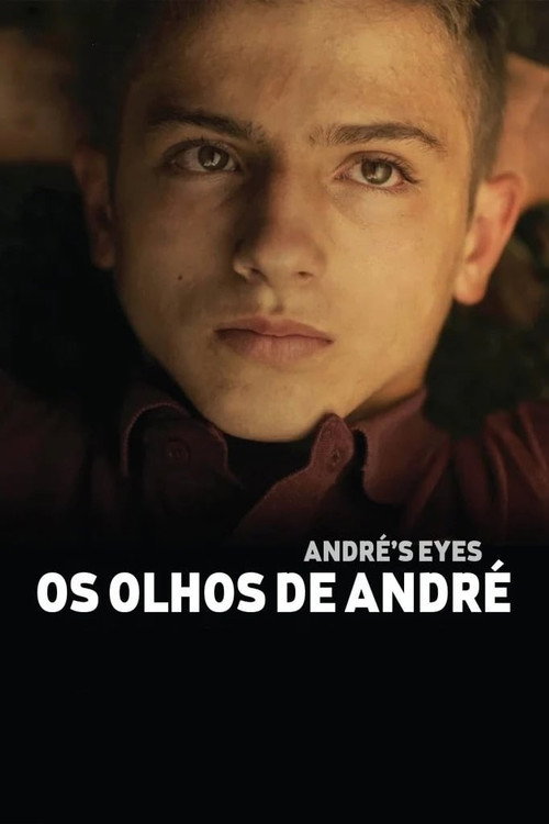Movie poster for André's Eyes (2015)
