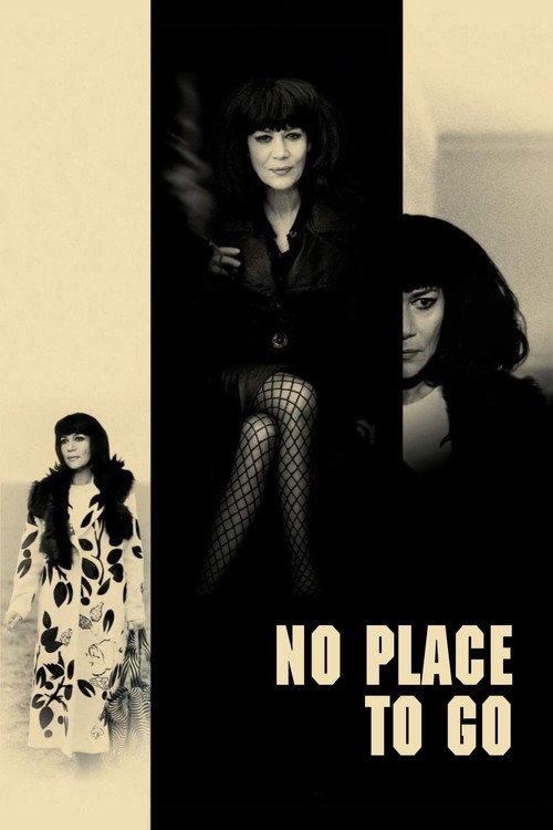 Movie poster for No Place to Go (2000)