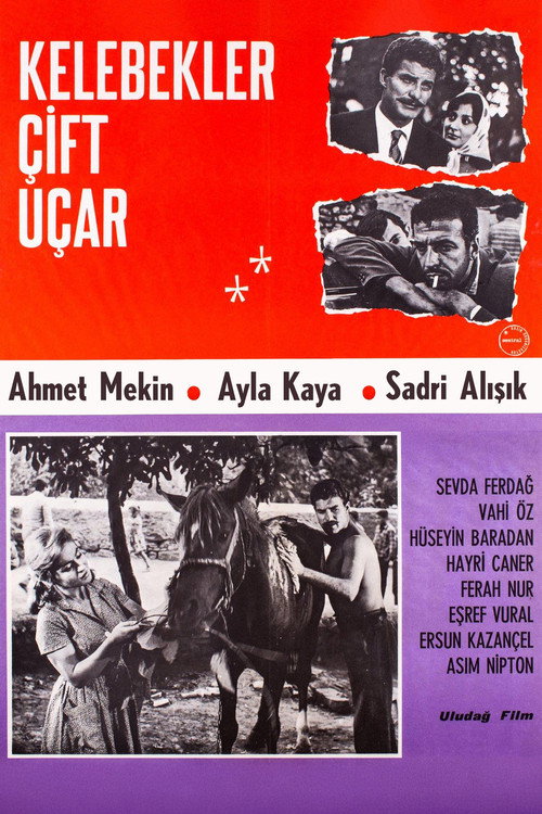 Movie poster for Kelebekler Çift Uçar (1964)