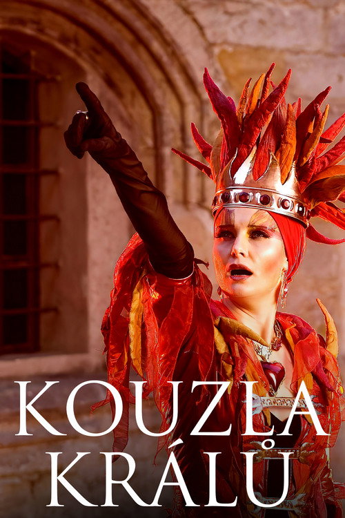 Movie poster for Kouzla králů (2008)