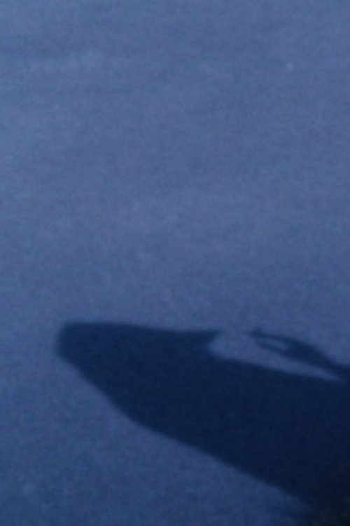 Movie poster for Their Bird (2012)