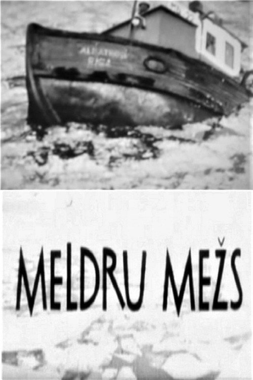 Movie poster for Meldru mežs (1971)