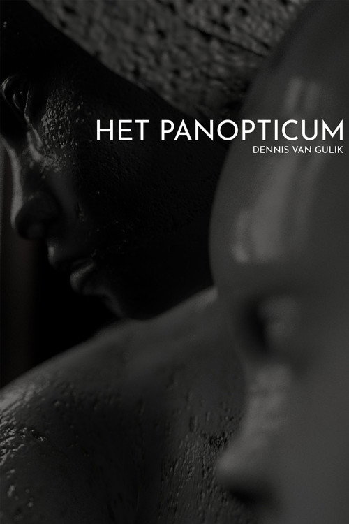 Movie poster for Het Panopticum (2018)