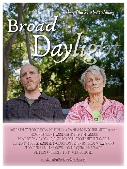 Movie poster for Broad Daylight (2024)