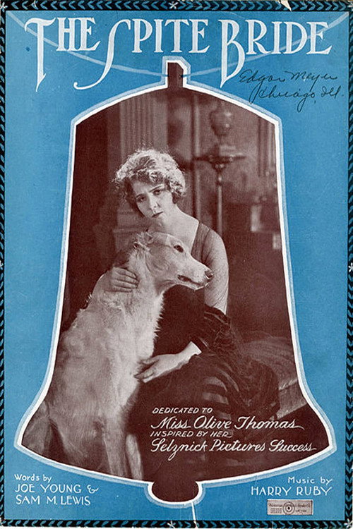 Movie poster for The Spite Bride (1919)
