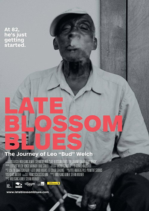 Movie poster for Late Blossom Blues (2017)