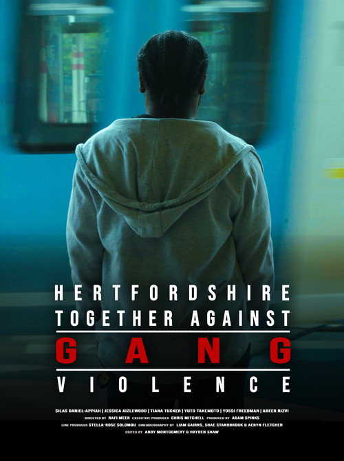 Movie poster for Hertfordshire Together Against Gang Violence