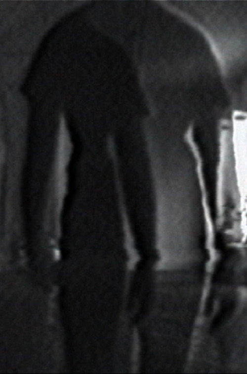 Movie poster for Double Vision (1971)