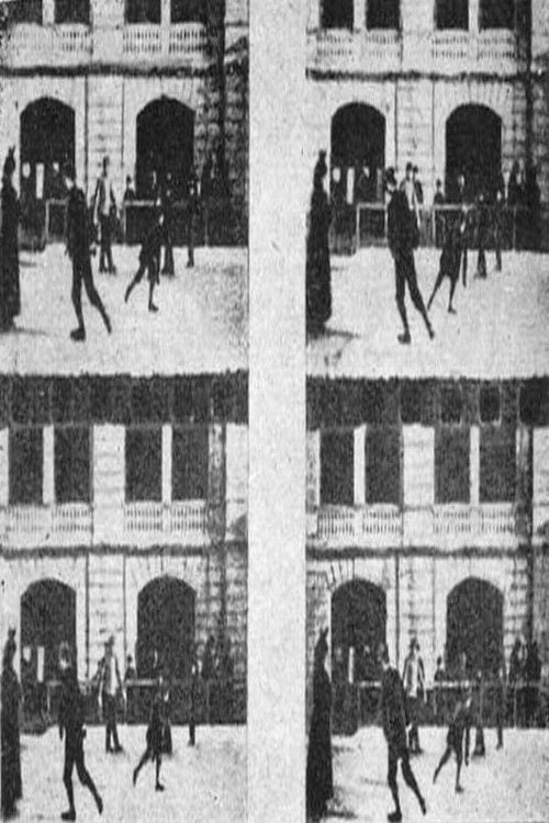 Movie poster for Skating-rink in the Royal Baths (1894)