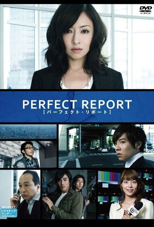 Perfect Report poster