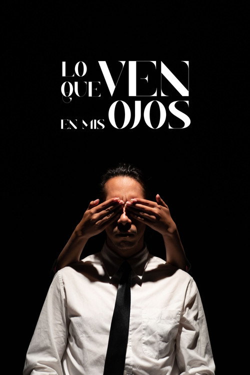 Movie poster for What You See In My Eyes (2024)