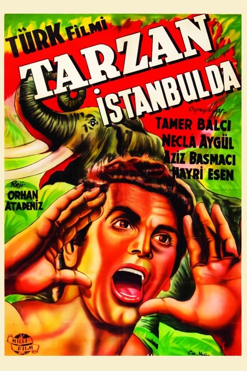 Movie poster for Tarzan in Istanbul (1952)