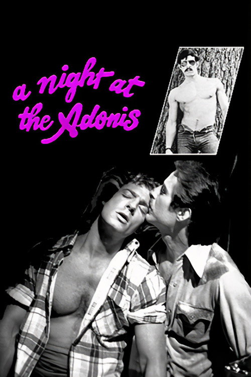 Movie poster for A Night at the Adonis (1978)