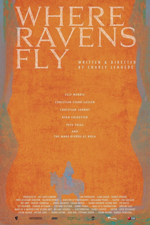 Movie poster for Where Ravens Fly (2023)