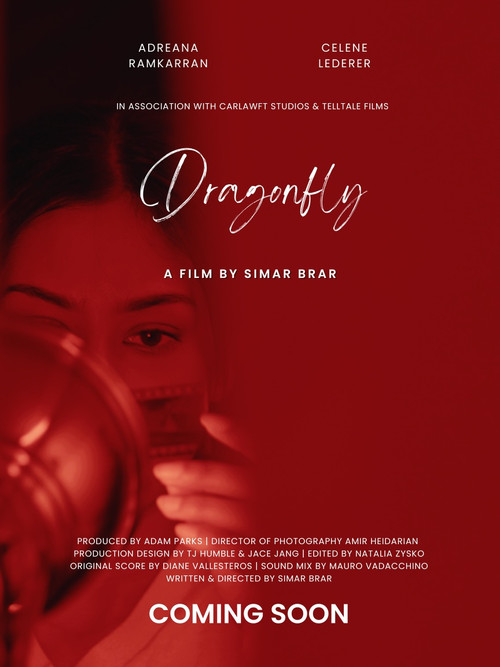 Movie poster for Dragonfly (2023)