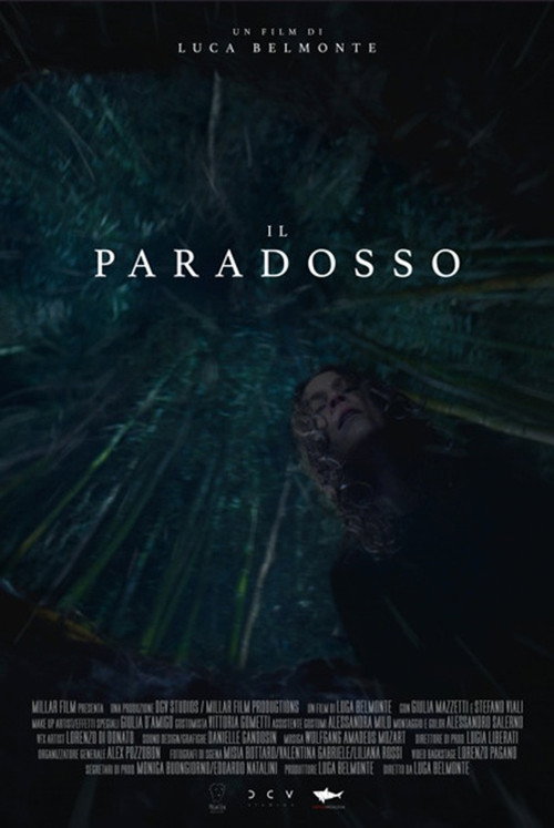 Movie poster for Il paradosso