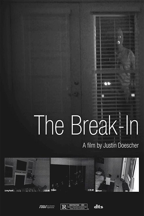 Movie poster for The Break-In (2016)