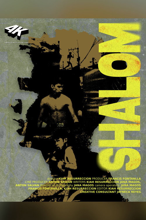 Movie poster for Shalom (2026)