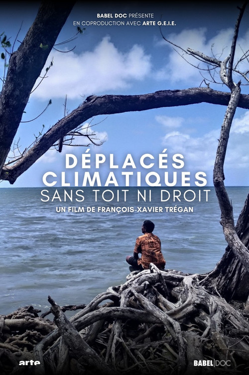 Movie poster for Climate Refugees: A Global Challenge (2024)