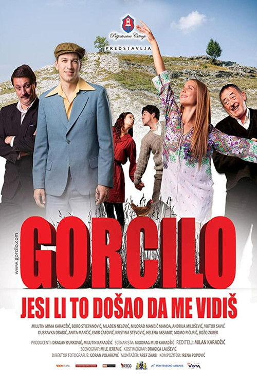 Movie poster for Gorcilo - Did You Come to See Me? (2015)